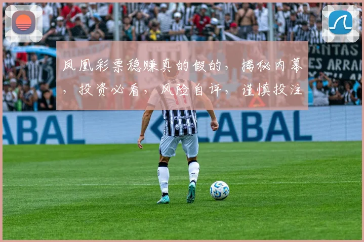 凤凰彩票稳赚真的假的，揭秘内幕，投资必看，风险自评，谨慎投注